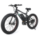 Electric Bikes