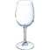 Wine glass