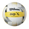 Ball for volleyball