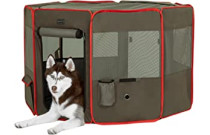 Pet Enclosure