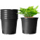 Pots for planting and transplanting