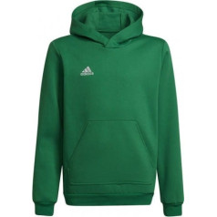 Džemperis adidas Entrada 22 Hoody Y Jr HI2143 / 128 cm