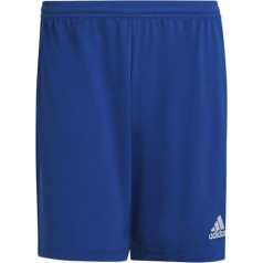 Šorti adidas Entrada 22 M HG6294 / XL