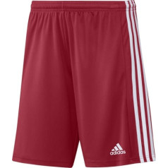 Adidas SQUADRA 21 Short GN5771 / sarkans / L