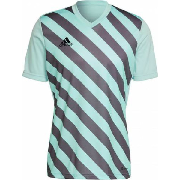 T-krekls Adidas Entrada 22 Graphic Jersey M HF0119 / XL