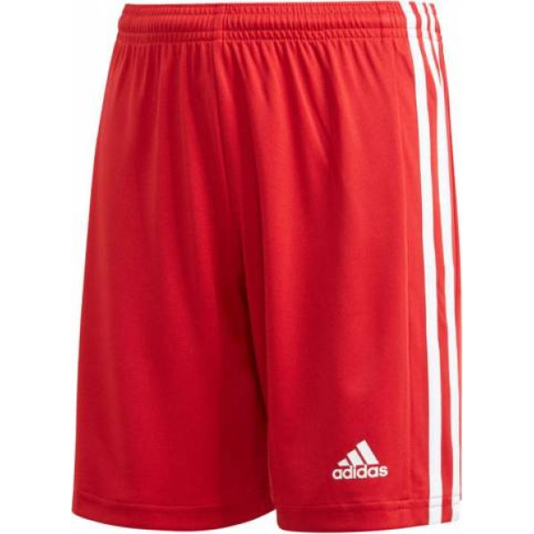 Adidas Squadra 21 Short Youth Jr GN5761 / 164cm