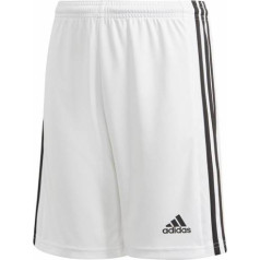 Adidas Squadra 21 Short Youth Jr GN5766 / 152 см