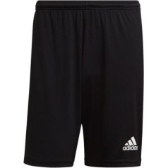 Šorti adidas Squadra 21 Short M GN5776 / L