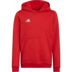 Džemperis adidas Entrada 22 Hoody Jr H57566 / 128 cm