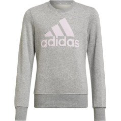 Džemperis adidas Big Logo SWT HM8706 / Pelēka / 152 cm