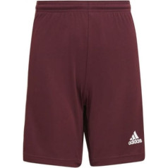 Šorti adidas Squadra 21 Short Jr GN8081 / 140cm