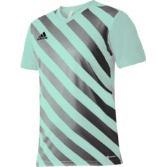 Футболка adidas Entrada 22 Graphic Jersey Jr HF0127 / 164 см