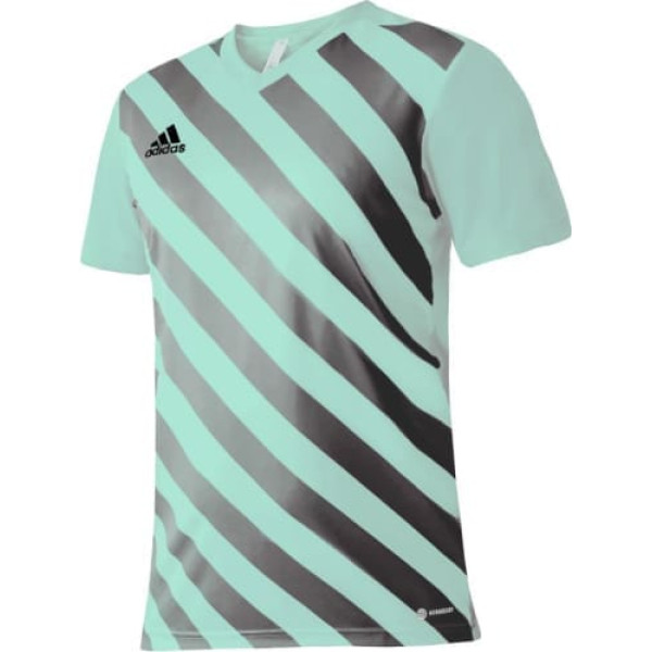 T-krekls Adidas Entrada 22 Graphic Jersey Jr HF0127 / 164 cm