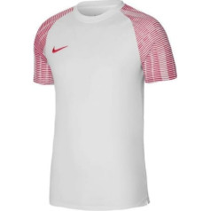 T-krekls Nike Dri-Fit Academy SS M DH8031-100 / S (173cm)