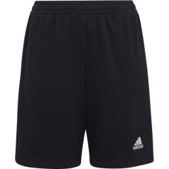 Adidas Entrada 22 Training Short Y Jr H57498 / шорты 164 см