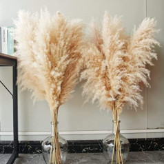 10 Stück Pampas Grass groß, Pampas Grass XXL, Pampas Grass Deko Gross für Boho DekoWohnzimmer Tisch Schlafzimmer Hochzeits Badezimmer (100 cm)