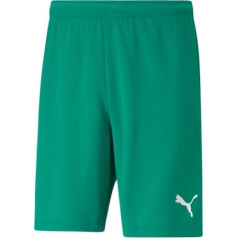 Puma teamRISE Short M 704942 05 / 2XL