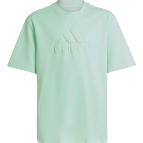 T-krekls adidas FI Logo Tee Jr IC9532 / 140 cm