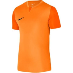 Футболка Nike Dri-FIT Trophy 5 M DR0933-819/L (183см)