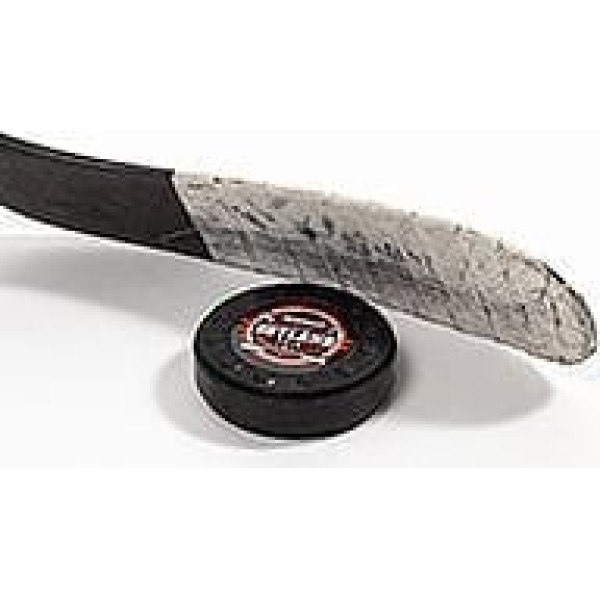 HOCKEYSHOT Extreme Dryland Puck each