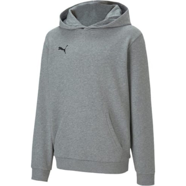 Puma teamGOAL 23 Casuals Hoody Jr 656711 33/116