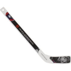 NHL Star Player Plastic Mini-Player Stick each