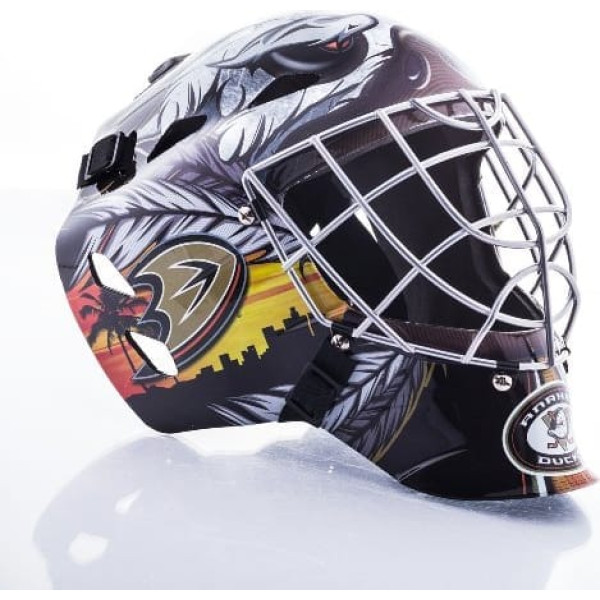 FRANKLIN NHL Team Mini Torwart Maske each