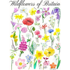 Wildflowers of Britain akvareļu druka — mājdzīvnieku drukas dabas karte ar roku zīmēta identifikācijas diagramma — savvaļas dabas karte (A4 bez rāmja)