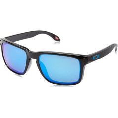 Oakley vīriešu Holbrook saulesbrilles, viens izmērs