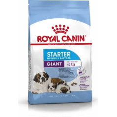 Karma royal canin shn giant starter m & b (15 kg)