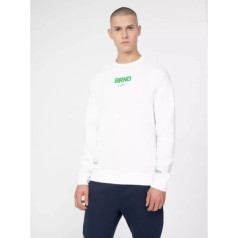 Džemperis 4F M 4FSS23TSWSM237-10S / XL