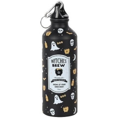 Attitude Holland Water Bottle Witches Brew Metal Black