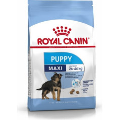 Royal canin shn maxi puppy - sausā barība kucēniem - 4kg