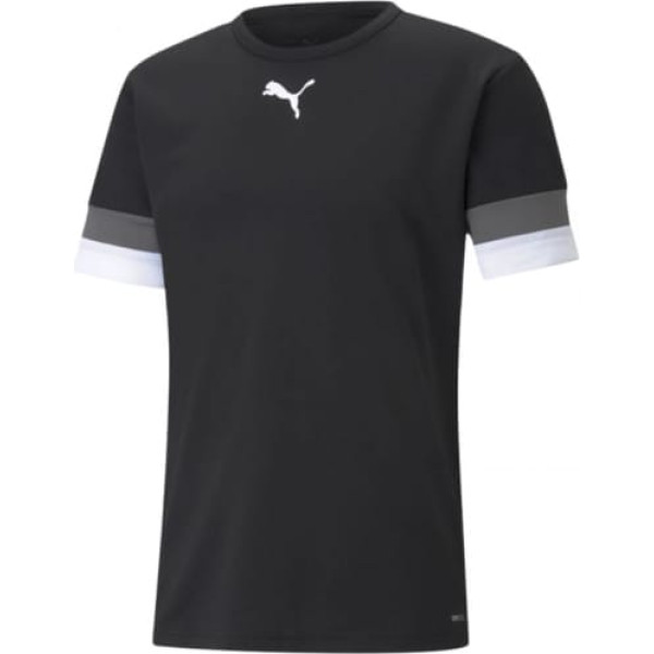 T-krekls Puma teamRISE Jersey M 704932 03 / S