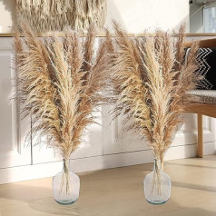 Iepakojumā 12 Pampas zāles kaltēti ziedi Dekorācija 120 cm Liels Pampas zāle kaltēts pušķis Dabīgs pūkains niedru zieds Valentīna diena Mājas Kāzas Boho Dzīvojamā istaba Guļamistaba Dārza māja