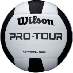 Мяч волейбольный Wilson Pro-Tour WTH20119XB/5