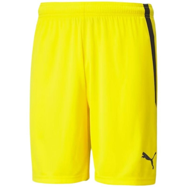 Šorti Puma teamLIGA M 704924 07 / 2XL