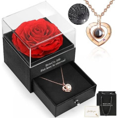 HEGUD Eternal Real Rose, I Love You Heart Necklace 100 Languages, Preserved Rose, Eternal Rose Jewellery Gift Box, Anniversary Gifts for Women, Mother's Day, Valentine's Day