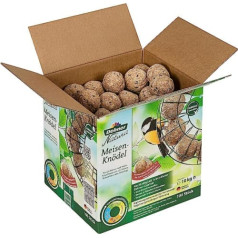 Dehner Natura Wild Bird Food, Large Bird Fat Balls, without Net, 100 Pieces Each 100 g (10 kg)