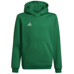 Džemperis adidas Entrada 22 Hoody Y Jr HI2143 / 164 cm