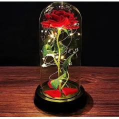 Beauty and the Beast Rose Gift Kit Eternal Rose in Glass with LED Light in Glass Dome and Fallen Petals Gifts for Valentine's Day Women Mum Girlfriend Birthday Mother's Day Anniversary