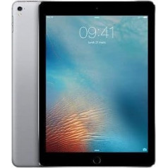 Apple iPad Pro 9.7 256 GB 4G — Space Grau — Entriegelte (Generalüberholt)