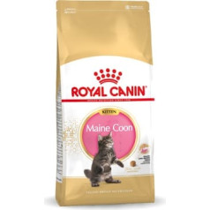 Royal canin fbn maine coon kitten - dry food for kittens - 10 kg