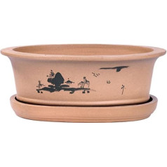 Bonsai-shopping Bonsai Bowl and Saucer with Motif, 29 x 21.5 x 10 cm, Oval 31090