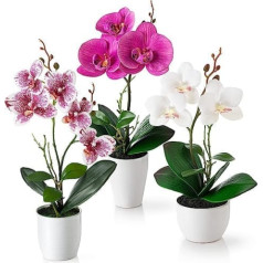 PASCH® mākslīgie ziedi podos (36 cm) - 3 orhideju komplekts mākslīgi saskaņots izkārtojums spīdīgos keramikas podos, mākslīgie dekoratīvie ziedi, mākslīgās orhidejas (baltrozes)