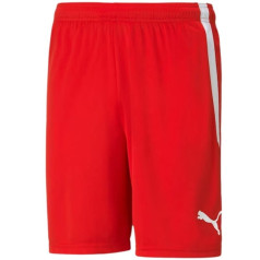 Шорты Puma teamLIGA M 704924 01 / XL