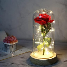 Beauty and the Beast Rose, Forever Rose Flowers in Glass Dome with LED Light Bar, for Valentine's Day, Wedding Anniversary, Mother's Day, Home, Office Decorations