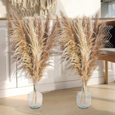 Iepakojumā 12 Pampas zāle kaltēti ziedi Dekorācija 120 cm Liels Pampas zāle kaltēts pušķis Dabīgs pūkains niedru zieds Valentīna diena Mājas Kāzas Boho Dzīvojamā istaba Guļamistaba Dārza māja