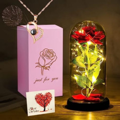 Beauty and the Beast Rose Gift Kit, Rose in Glass, Eternal Rose with Silver Necklace and LED Light, Birthday Gift for Women, Mother's Day, Valentine's Day, Christmas Day, Anniversary