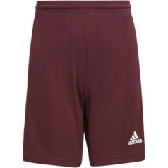 Šorti adidas Squadra 21 Short Jr GN8081 / 176cm